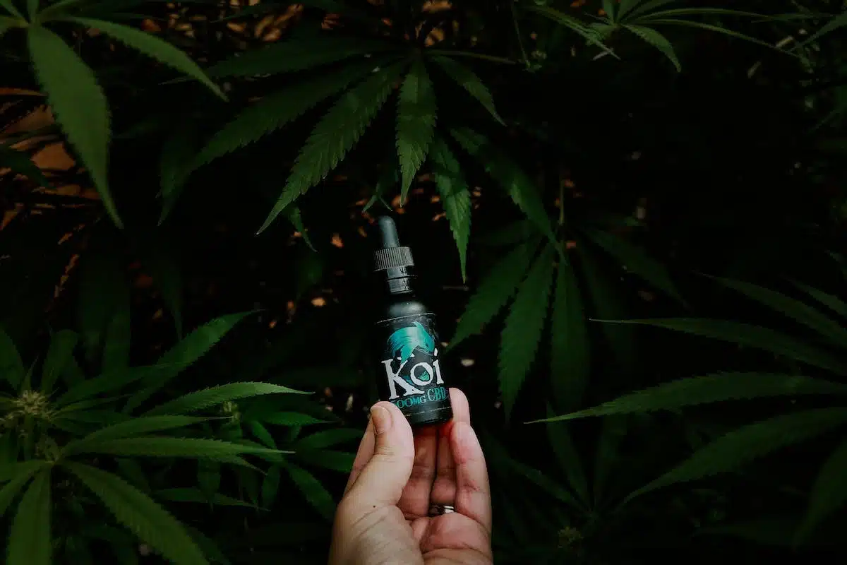 e-liquide menthe